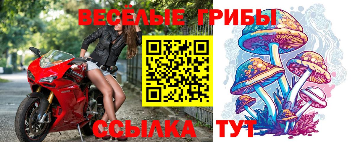 Среднеуральск  Псилоцибиновые грибы прущие грибы  Вход с VPN 